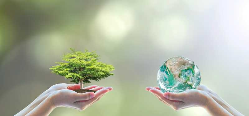 Two people holding small tree and globe in their hands.