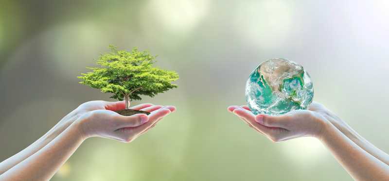 Two people holding a small tree and a globe in their hands.