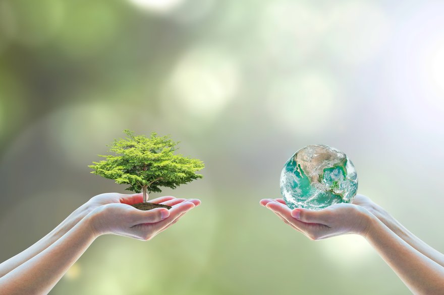Two people holding small tree and globe in their hands.