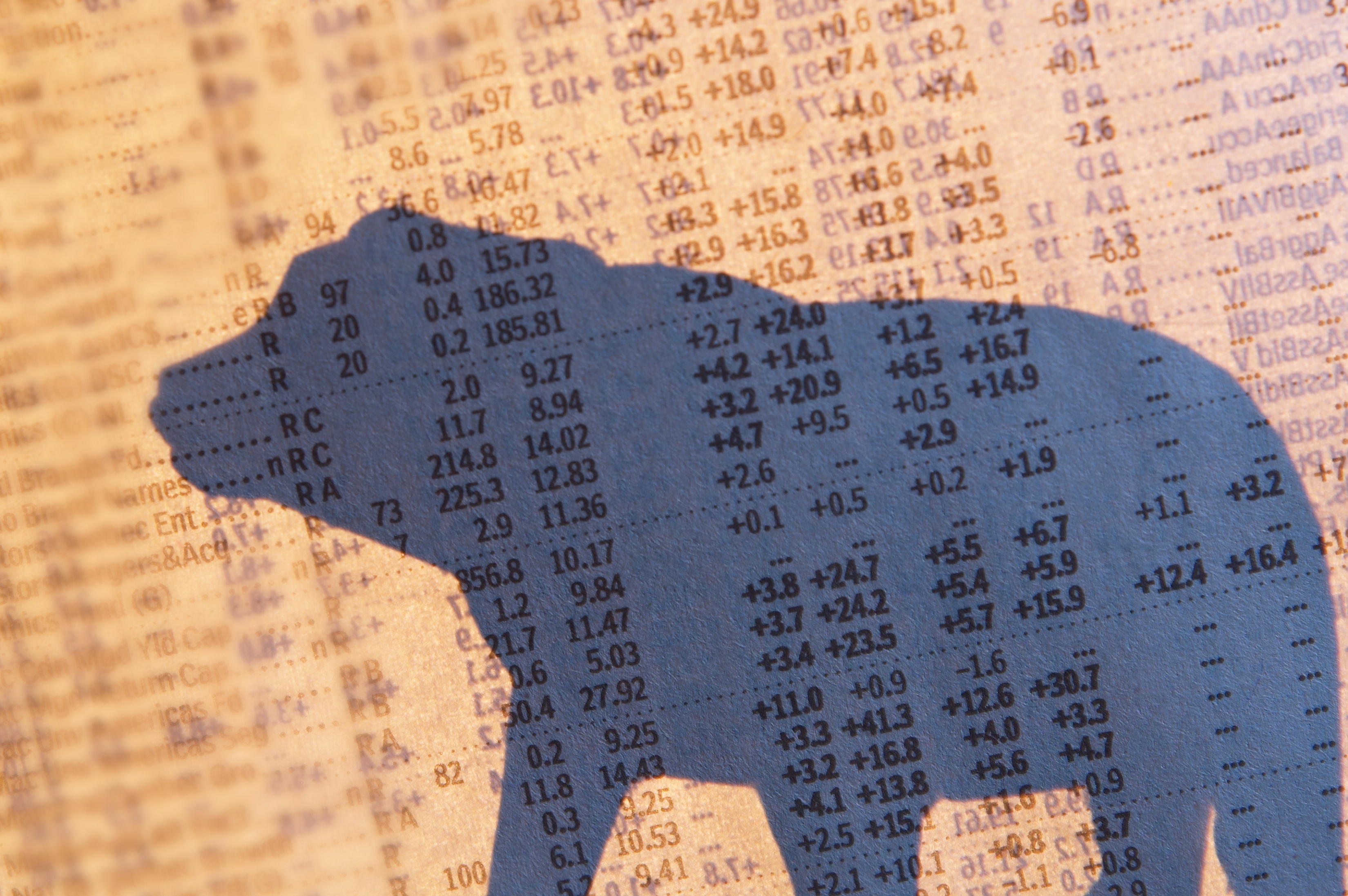 Bear silhouette on finance page of newspaper.
