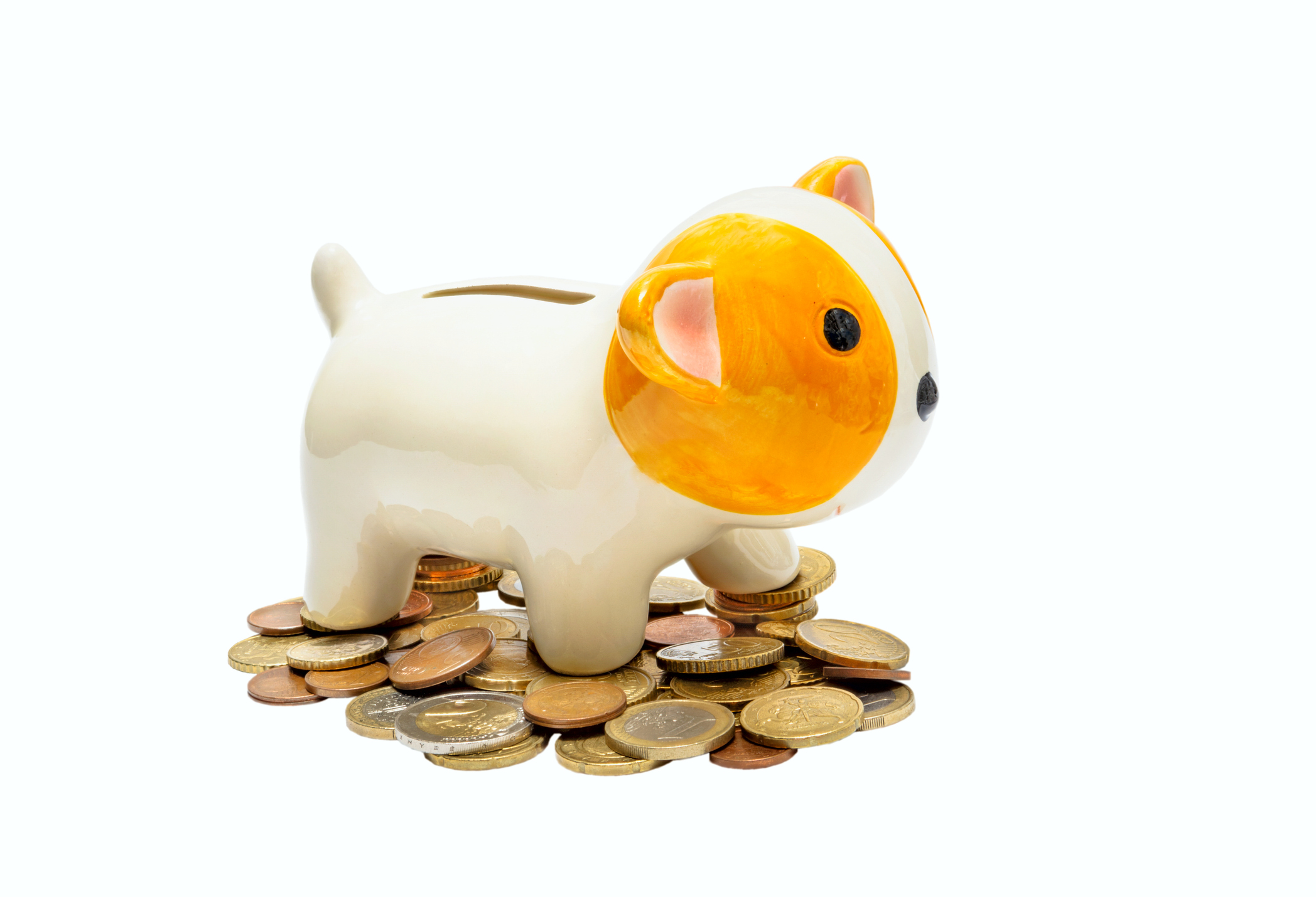 Ceramic dog bank with coins isolated on white background Ceramic dog bank with coins isolated on white background