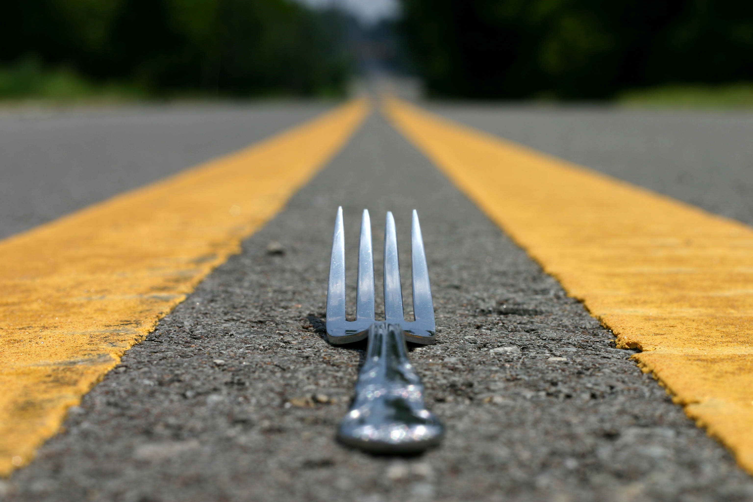 Fork In the Road A literal fork on a literal road.