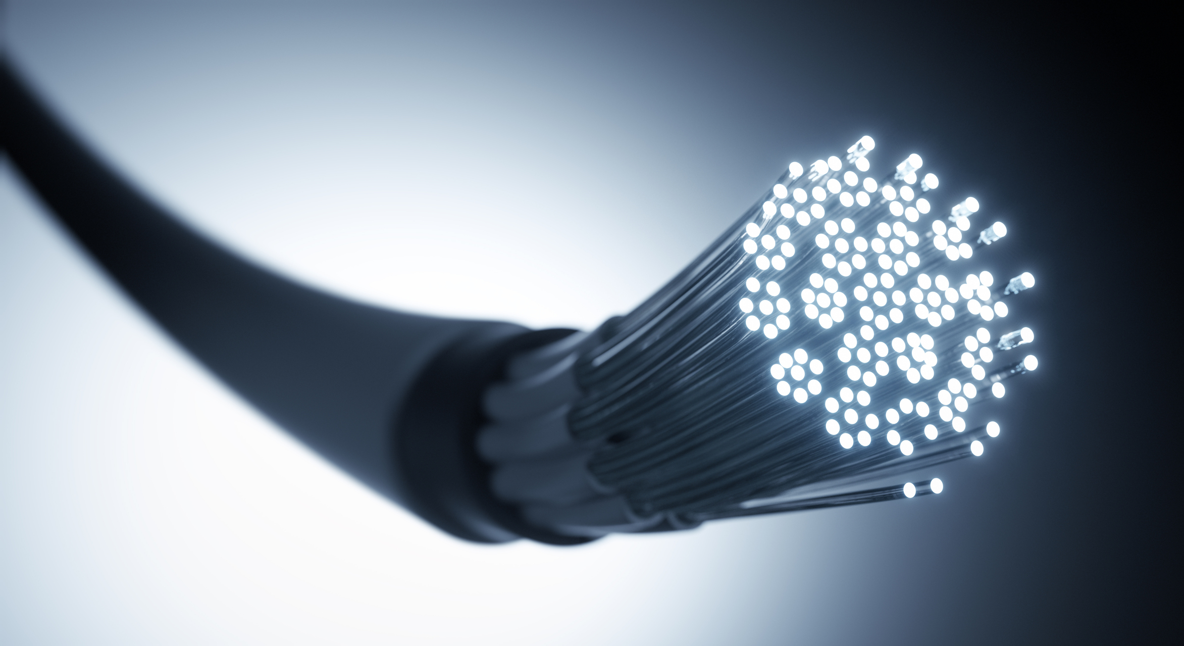 A close-up of fiber optic cable.