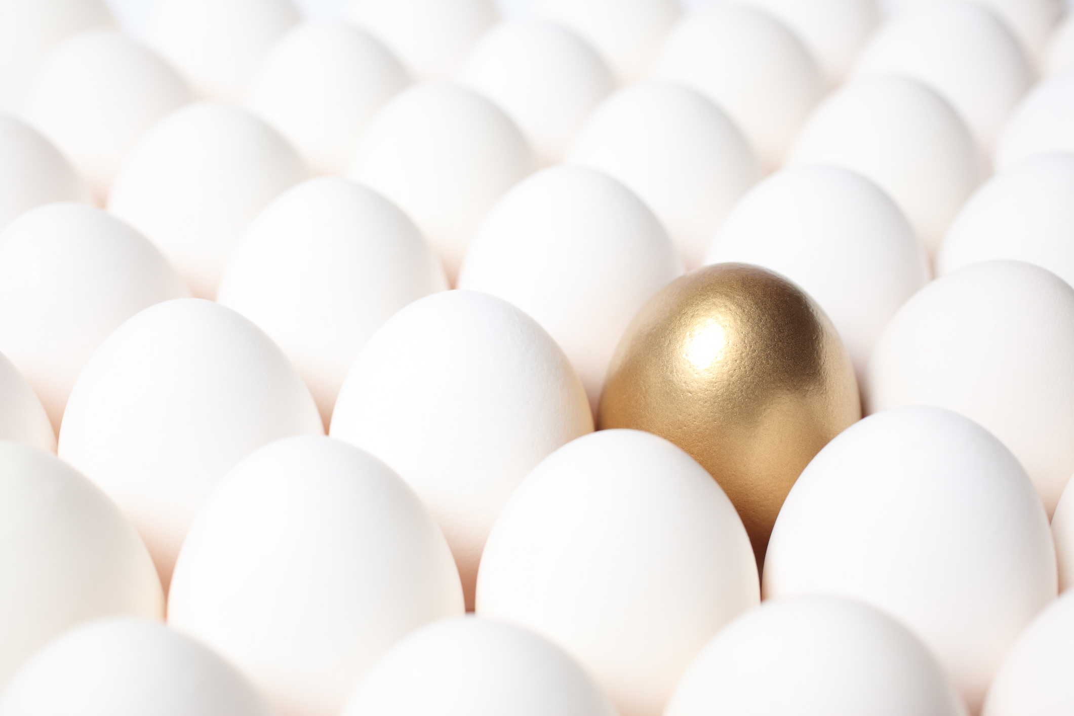 Gold egg among many regular eggs.jpg Gold egg among many regular eggs.