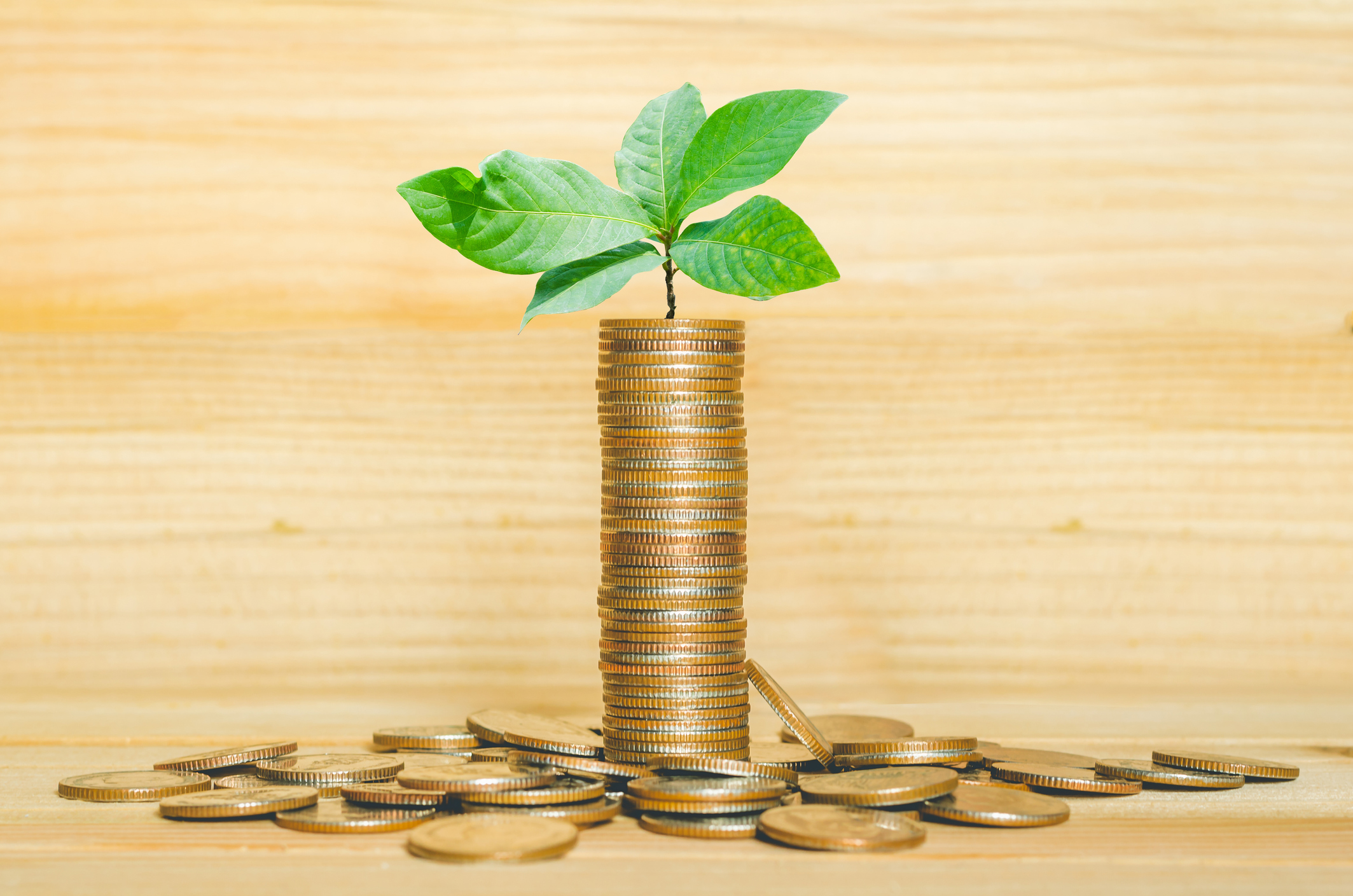 A tall stack of coins with a plant sprouting from the top. A tall stack of coins with a plant sprouting from the top.