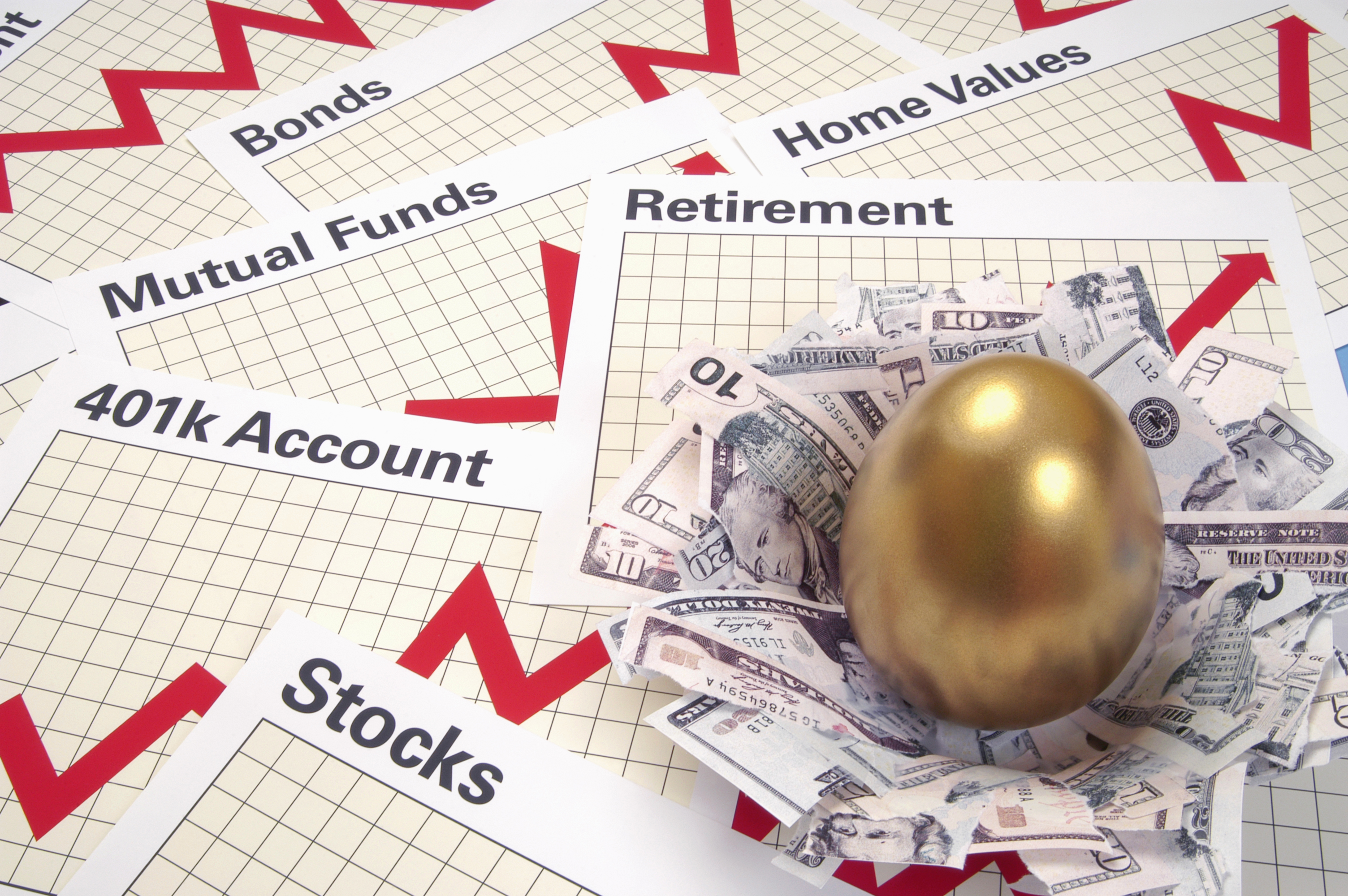 Pages tracking varying types of investments including stocks, bonds, and mutual funds along with cash nest holding golden egg