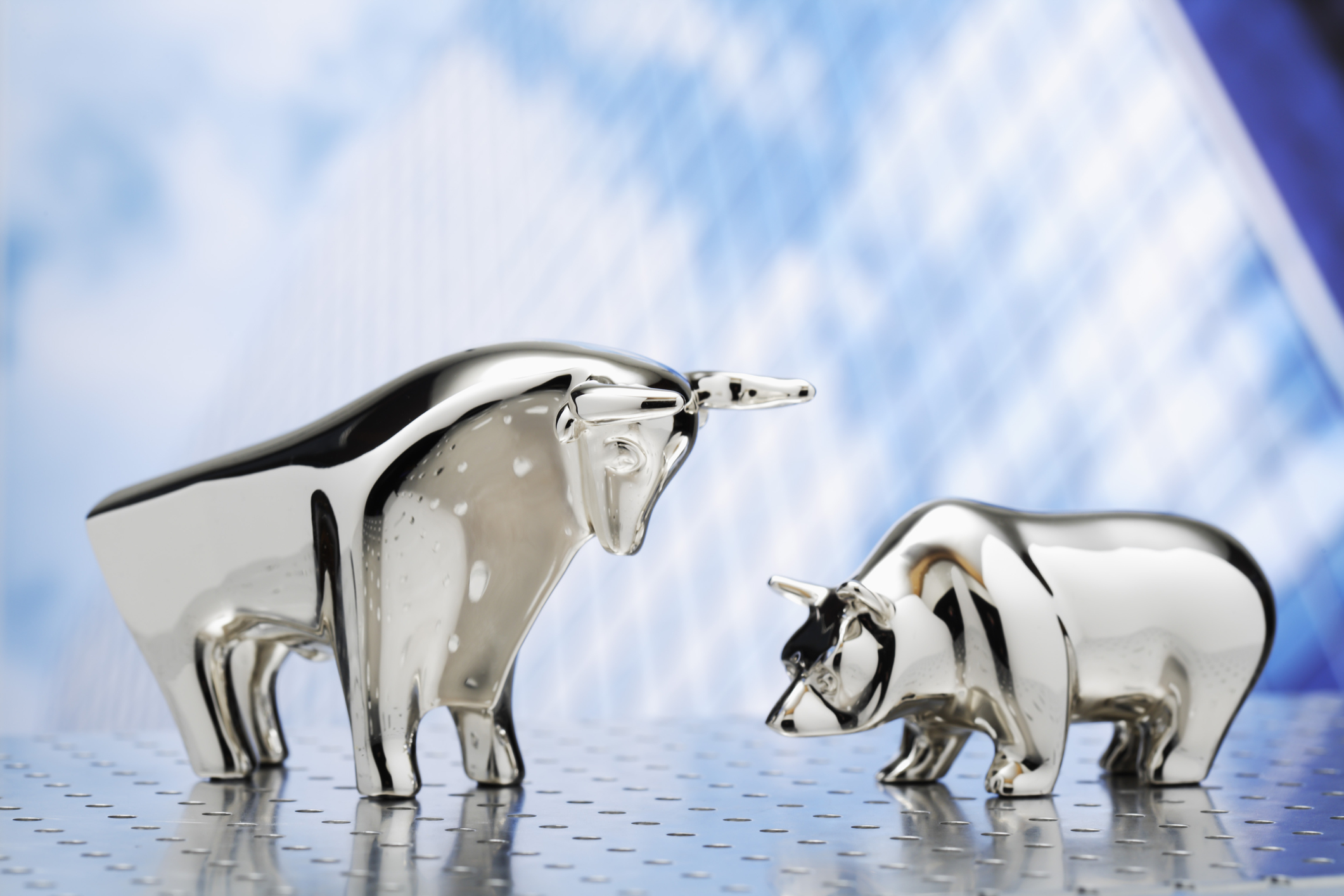 bear vs bull market bear vs bull market