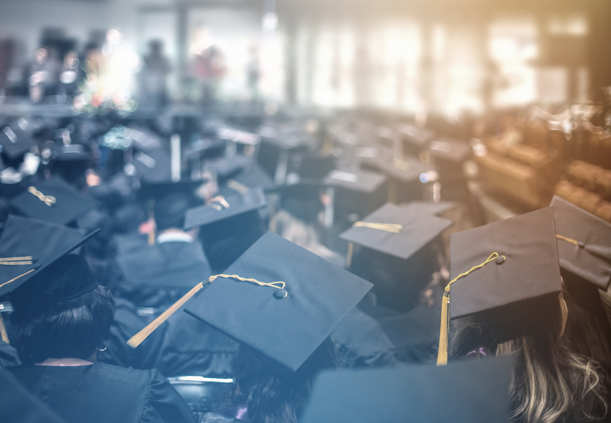 A sea of college grad caps.