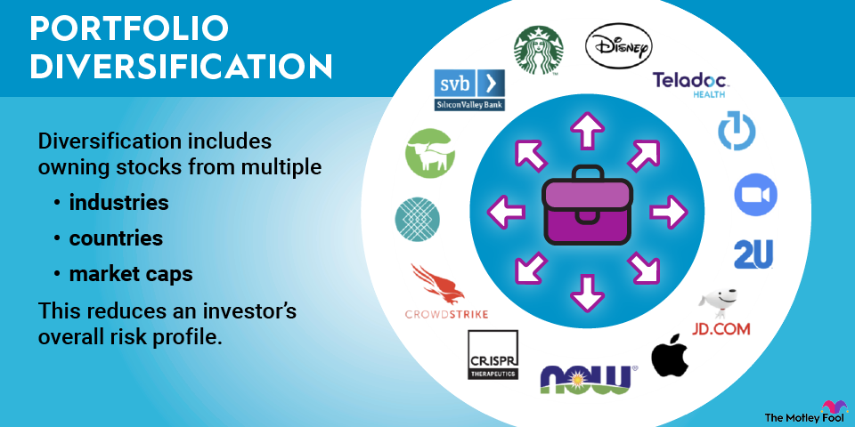 diversified-portfolio-example-infographic A hypothetical example of a diversified portfolio that invests in a variety of industries, countries and market caps.