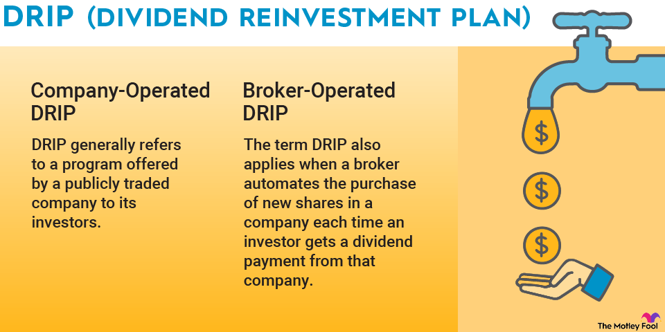 dividend-reinvestment-plan-infographic An infographic explaining the difference between company-operated and broker-operated dividend reinvestment plans (DRIPs).