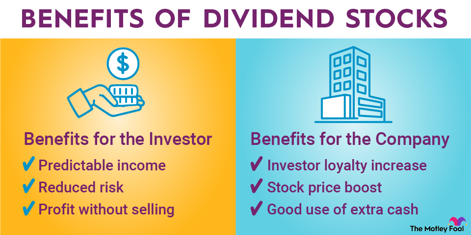 Different Types of Stocks to Invest In & How to Choose | The Motley Fool
