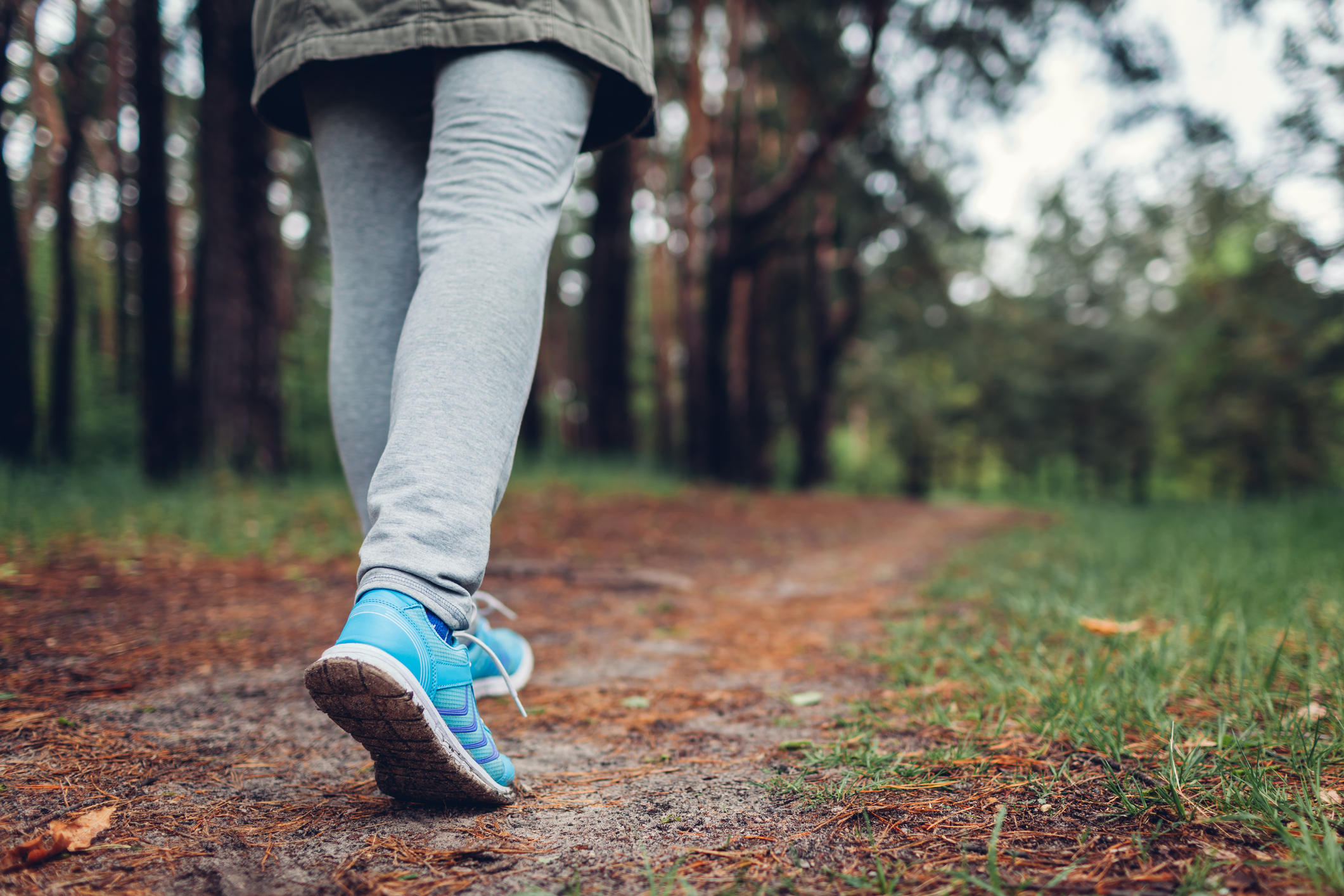 A hiker walking on a forest trail A hiker walking on a forest trail.