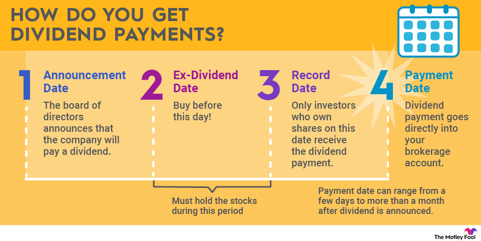 how-to-get-dividend-payments-infographic A graphic showing the process of getting a dividend payment, from the board's decision to pay one to you receiving the funds.