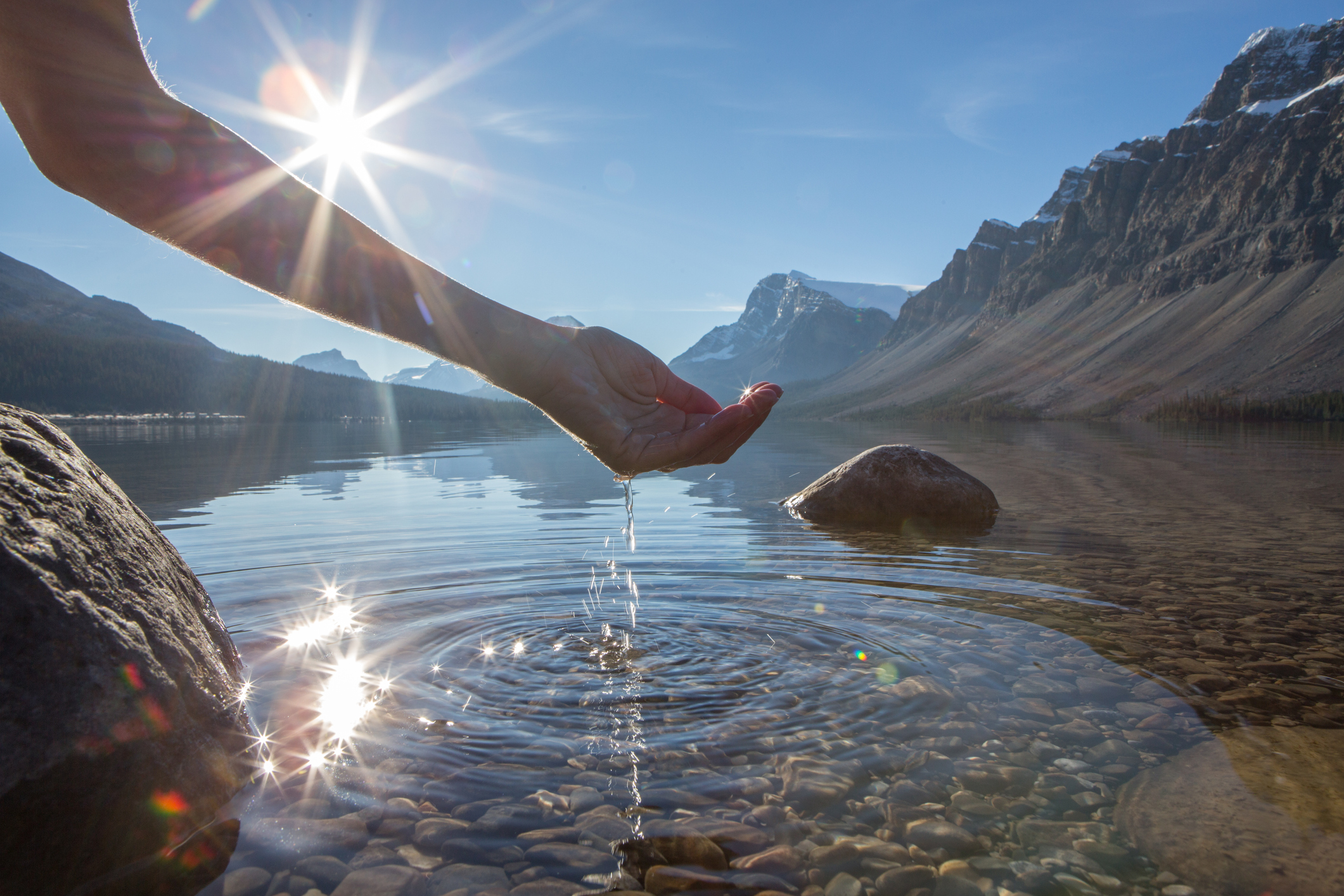 liquidity A hand cupping water from a lake.