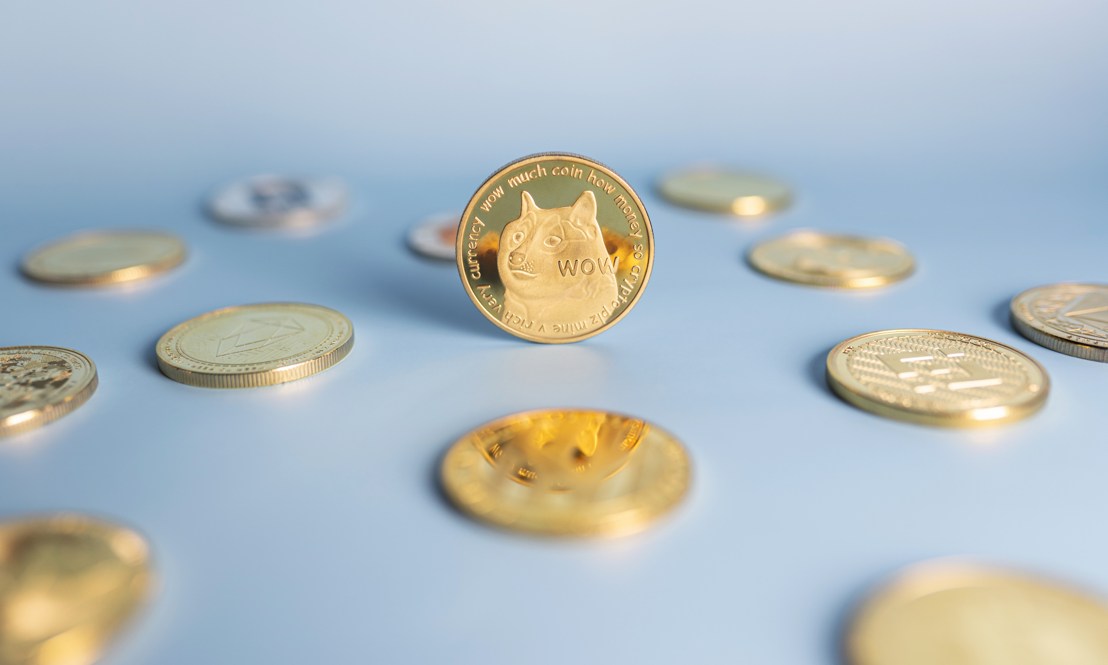meme_crypto_image Dogecoin meme coin standing centrally placed among bunch of crypto coins on blue background. Banner with golden Doge token. Close-up, soft focus.