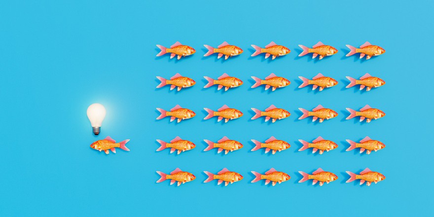 One goldfish swimming in the opposite direction of a school with a lightbulb over its head. One goldfish swimming in the opposite direction of a school with a lightbulb over its head.