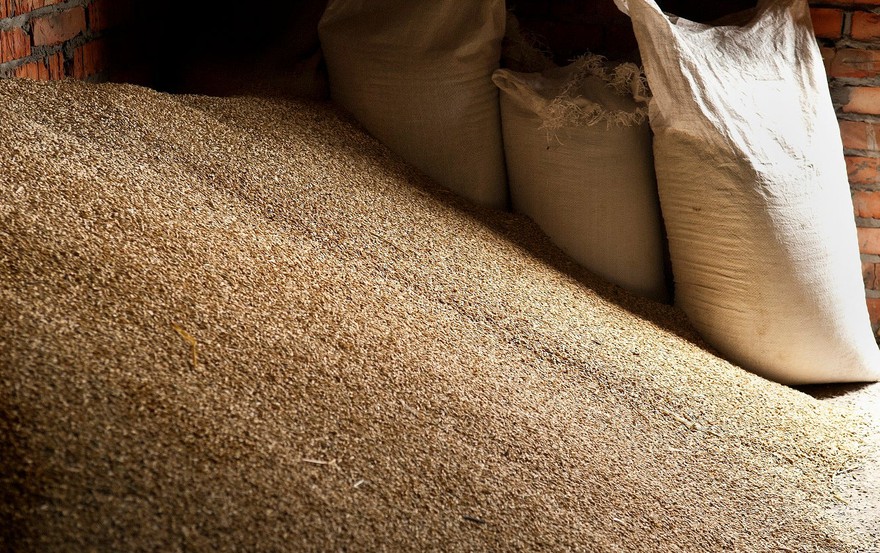 Pile of grain next to several bags of grain. Pile of grain next to several bags of grain.