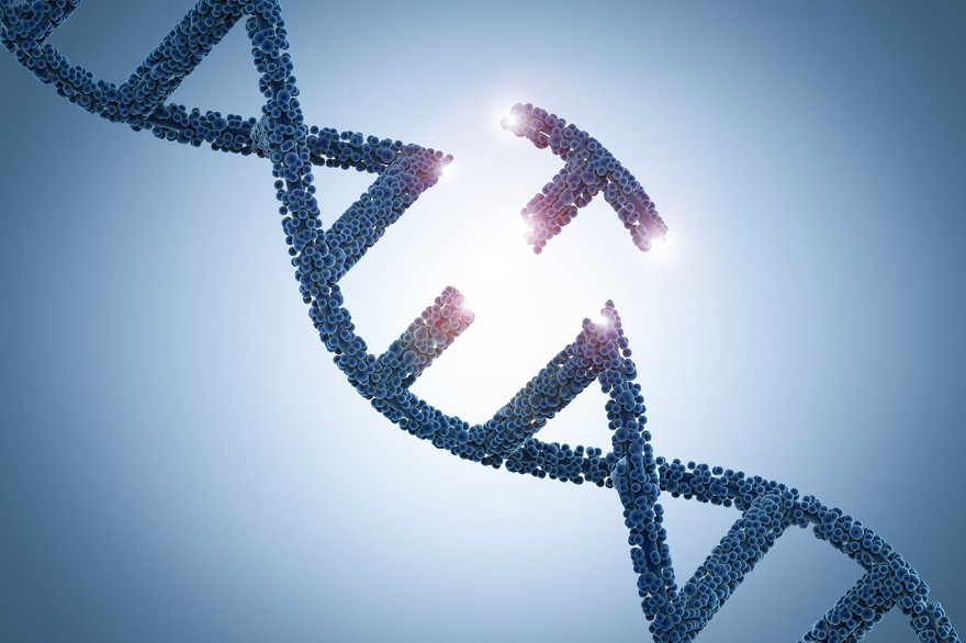 DNA with a section separated from the main part. DNA with a section separated from the main part.