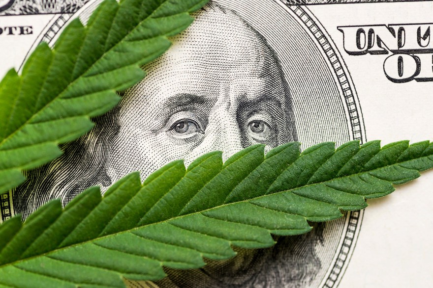A cannabis leaf on top of a $100 bill. A cannabis leaf on top of a $100 bill.
