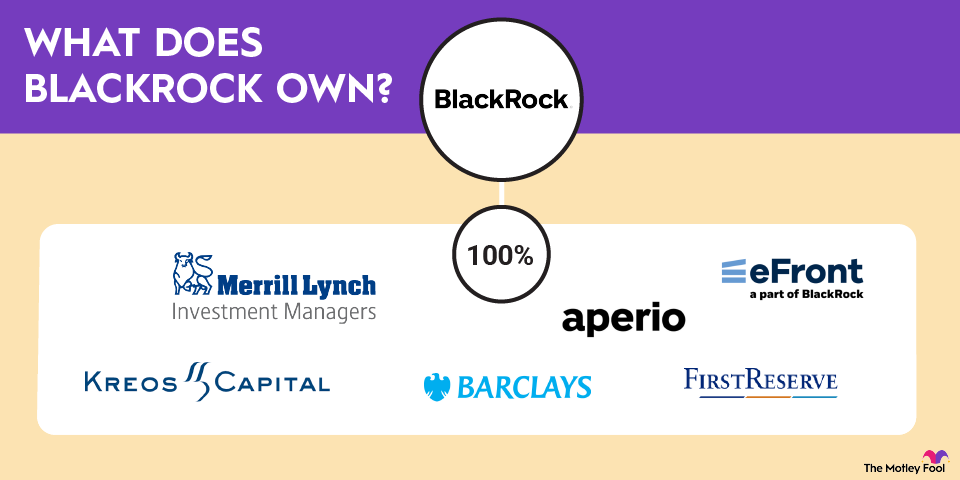 what-does-blackrock-own-infographic Infographic showing which companies are owned by BlackRock