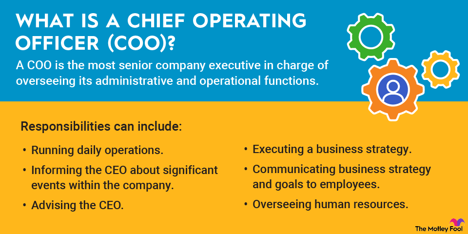 Typical Coo Chief Operating Officer (COO): Definition, Importance, Examples | The ...