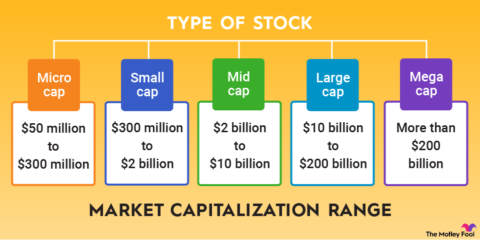 types-of-stocks-by-market-cap Infographic defining different types of stocks based on market cap