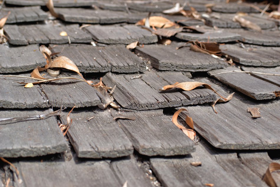 Roof with leaves