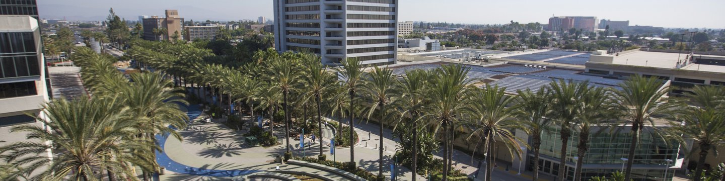 Disneyland, Other Theme Parks to Reopen: Impact on California Real Estate?