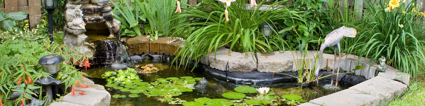 26 Top Images Pictures Of Ponds In Backyards - 76 Extraordinary Backyard Ponds And Waterfalls Garden Ideas