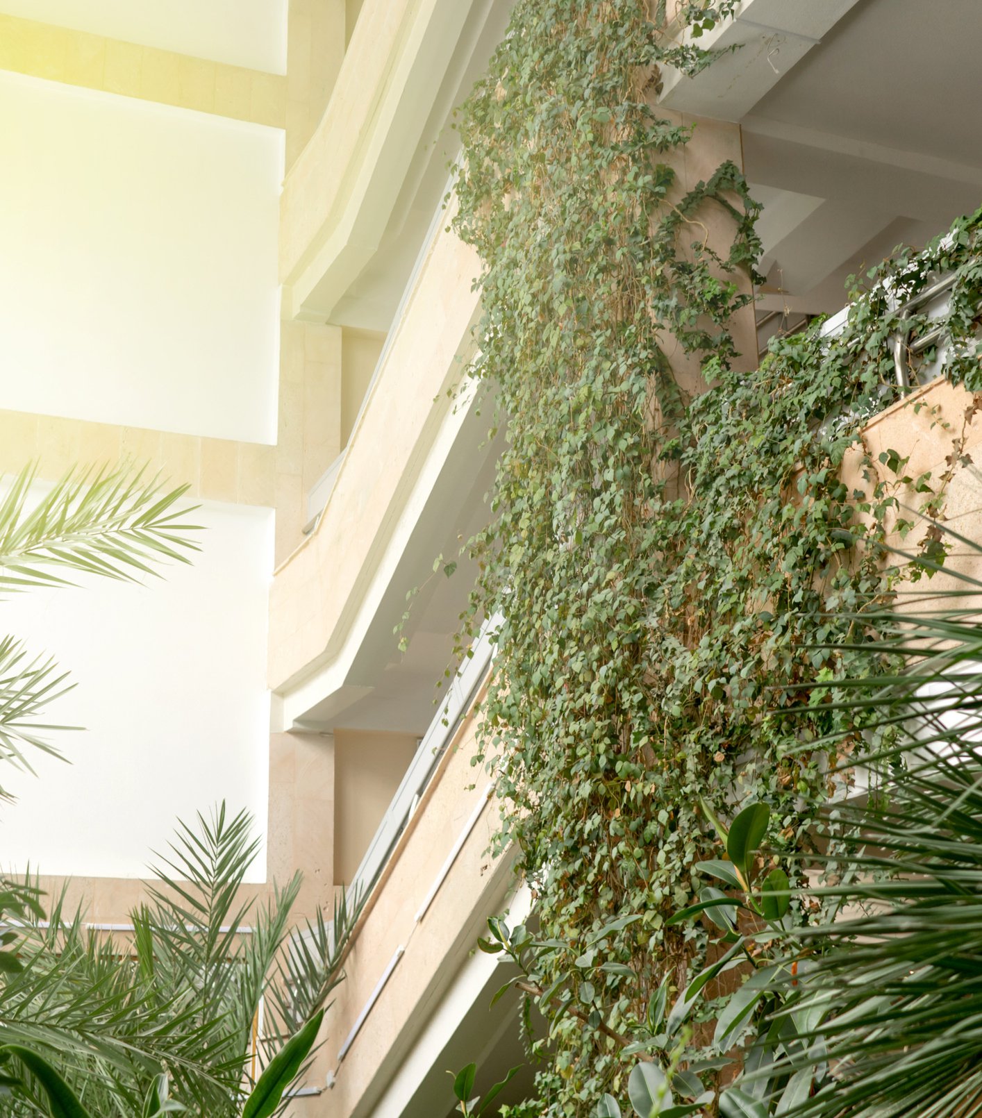 What is Biophilic Design and Why it is a Growing Trend? | Millionacres