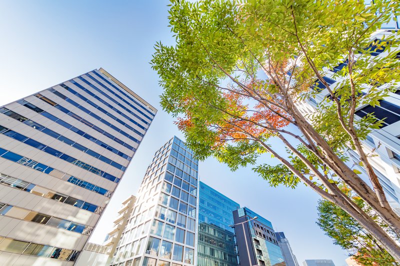 buildings trees city