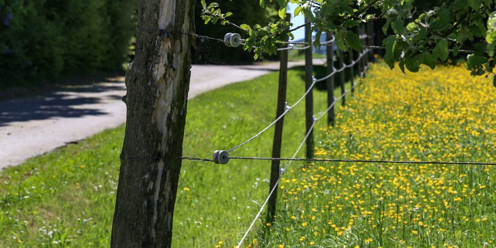 electric yard fence