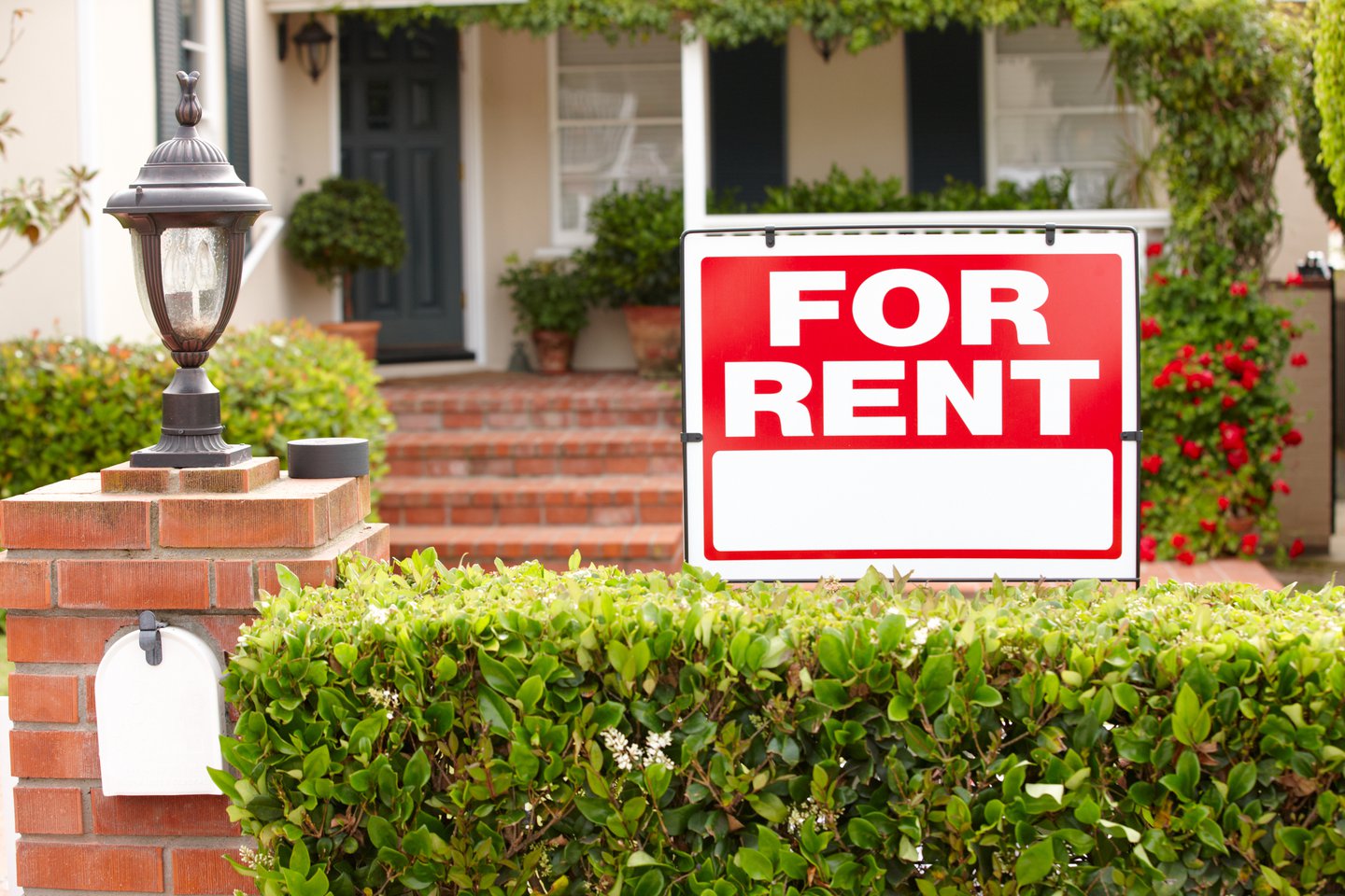 renting property for income