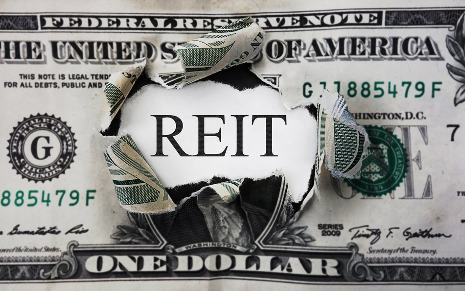 dollar bill ripped in the center showing REIT in black text