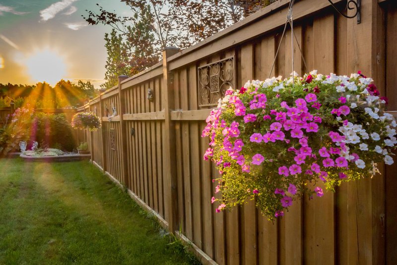 Fence with flowers and sunset