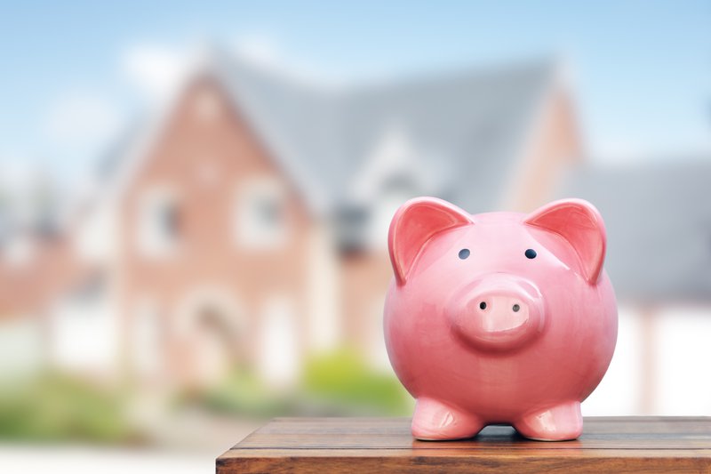 Personal Savings Piggy Bank For Home