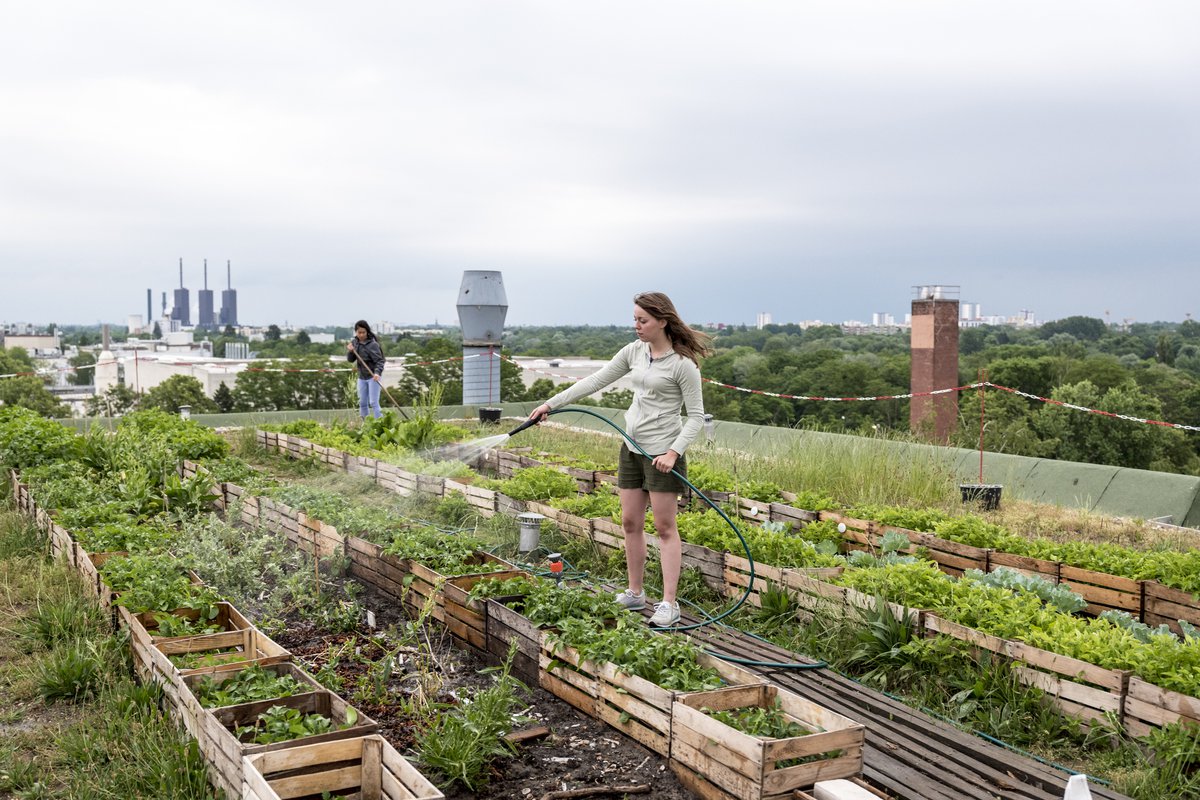 urban farming