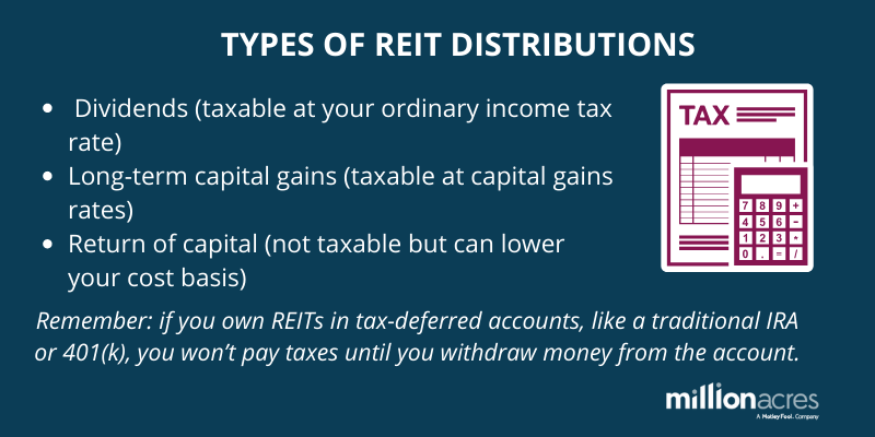 article REIT Dividends