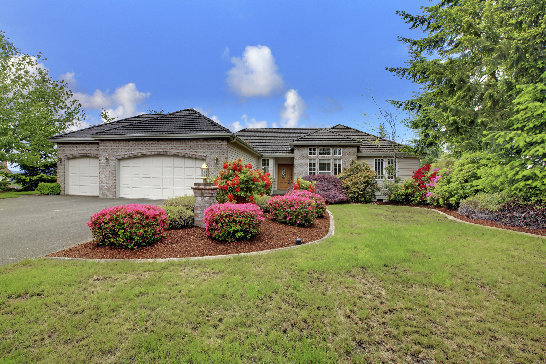 curb appeal landscaping