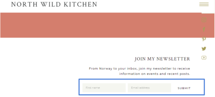 A newsletter opt-in form on the North Wild Kitchen website.