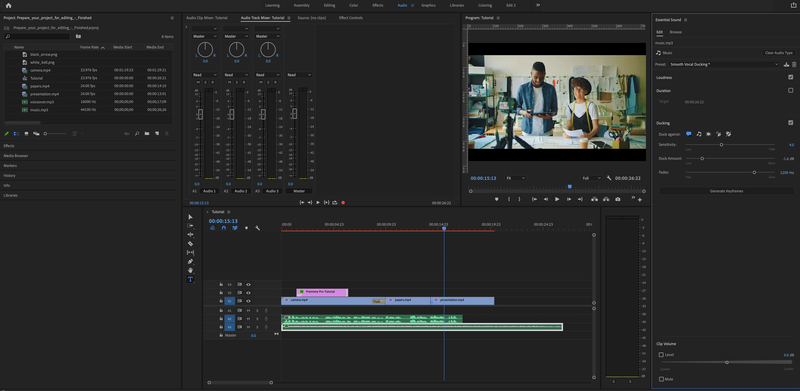 adobe premiere pro cs2 delay