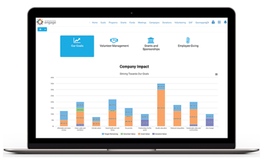 SmartSimple report showing company impact goals.