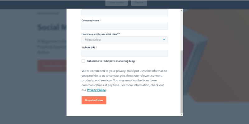 HubSpot’s e-book download form.