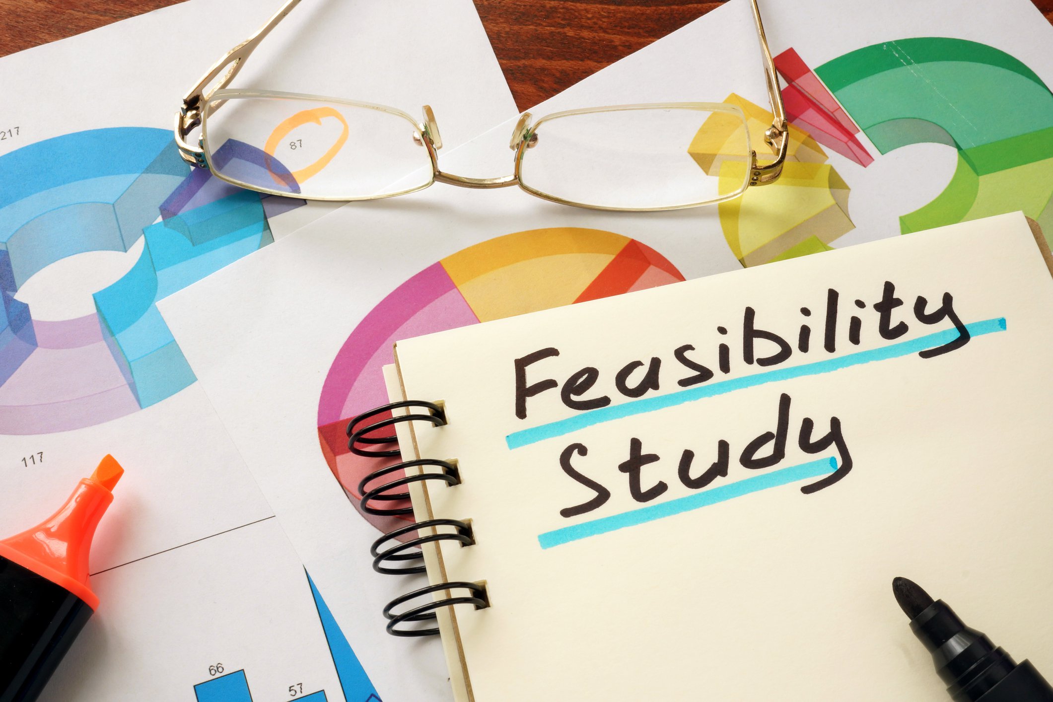 objectives of feasibility study and business plan