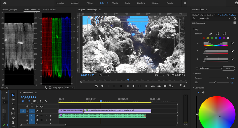 adobe premiere pro video editing software