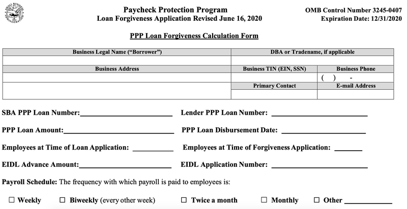 The top of an SBA PPP forgiveness application.