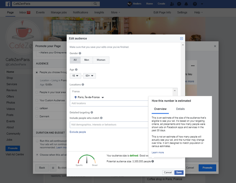 Screenshot of Facebook ad setup
