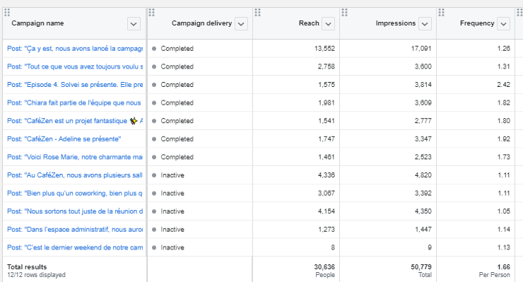 Facebook analytics advertising campaigns